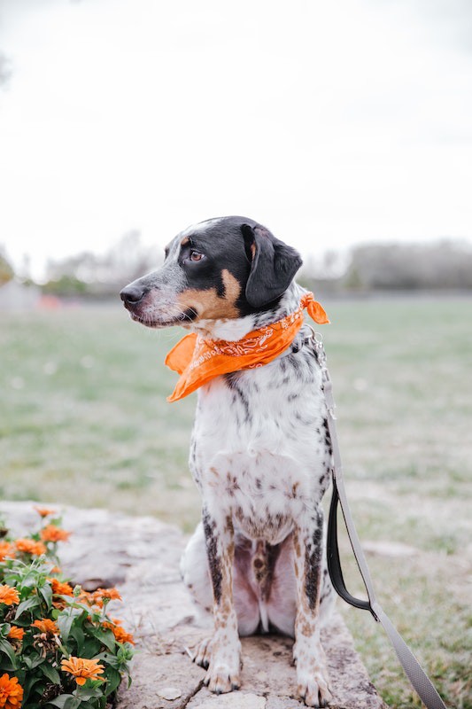 pexels-toni-tan-5864535